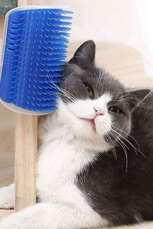 Duvara Yapışkanlı Kedi Köpek Kaşıma Kaşınma Tarama Aparatı Mavi