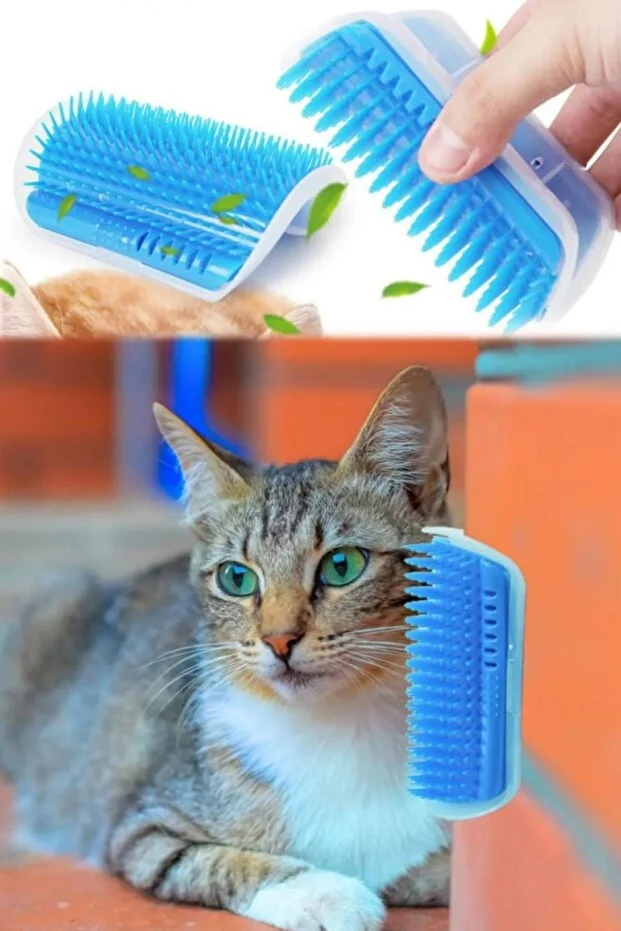 Duvara Yapışkanlı Kedi Köpek Kaşıma Kaşınma Tarama Aparatı Mavi